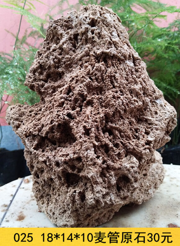 天然吸水石上水石原石盆景摆件麦管石假山奇石造景装饰摆件下单联系