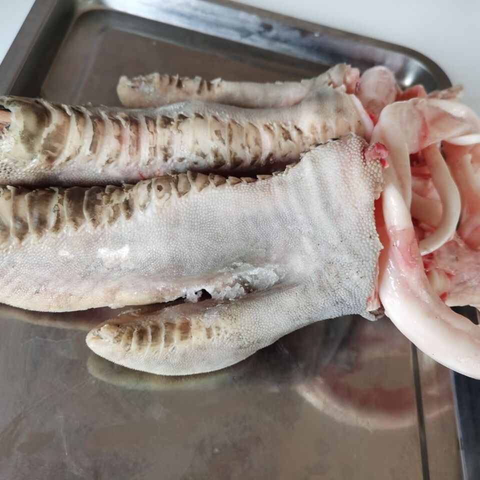 鸵鸟脚掌扒皮清理干净绿色健康酒店饭店食材塞红康尔 一对脚掌4斤左右