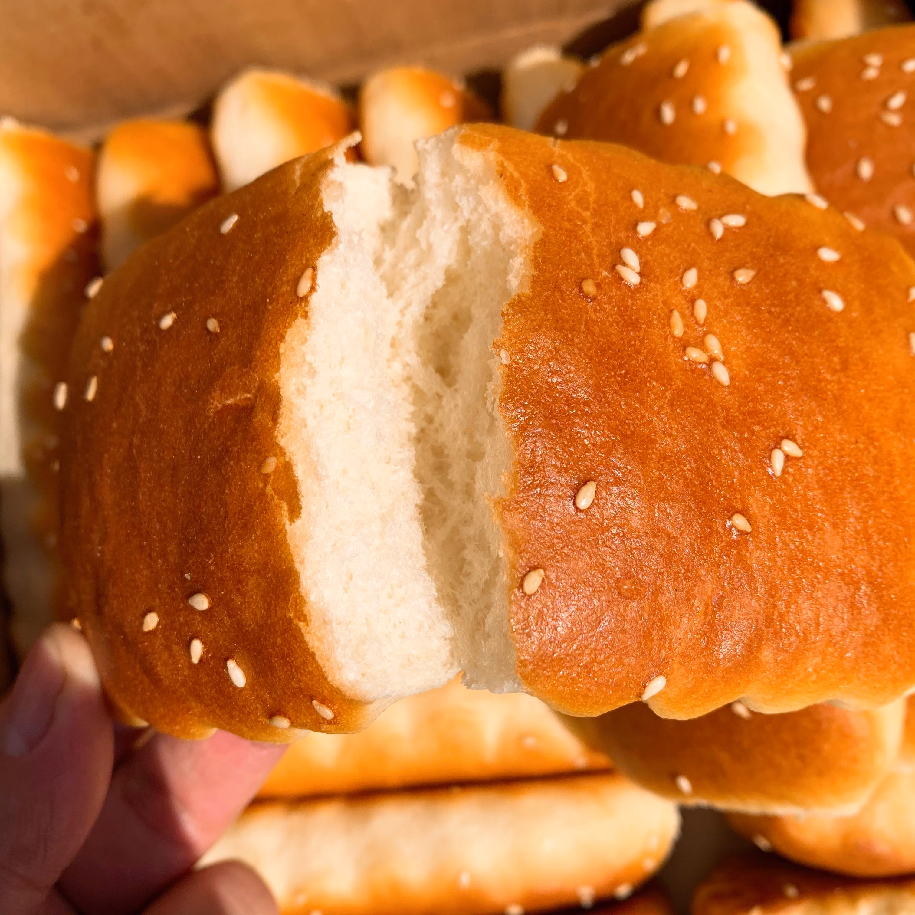 东北老式发面大饼干鸡蛋软饼干烤饼传统经典回忆零食早餐饼干250克