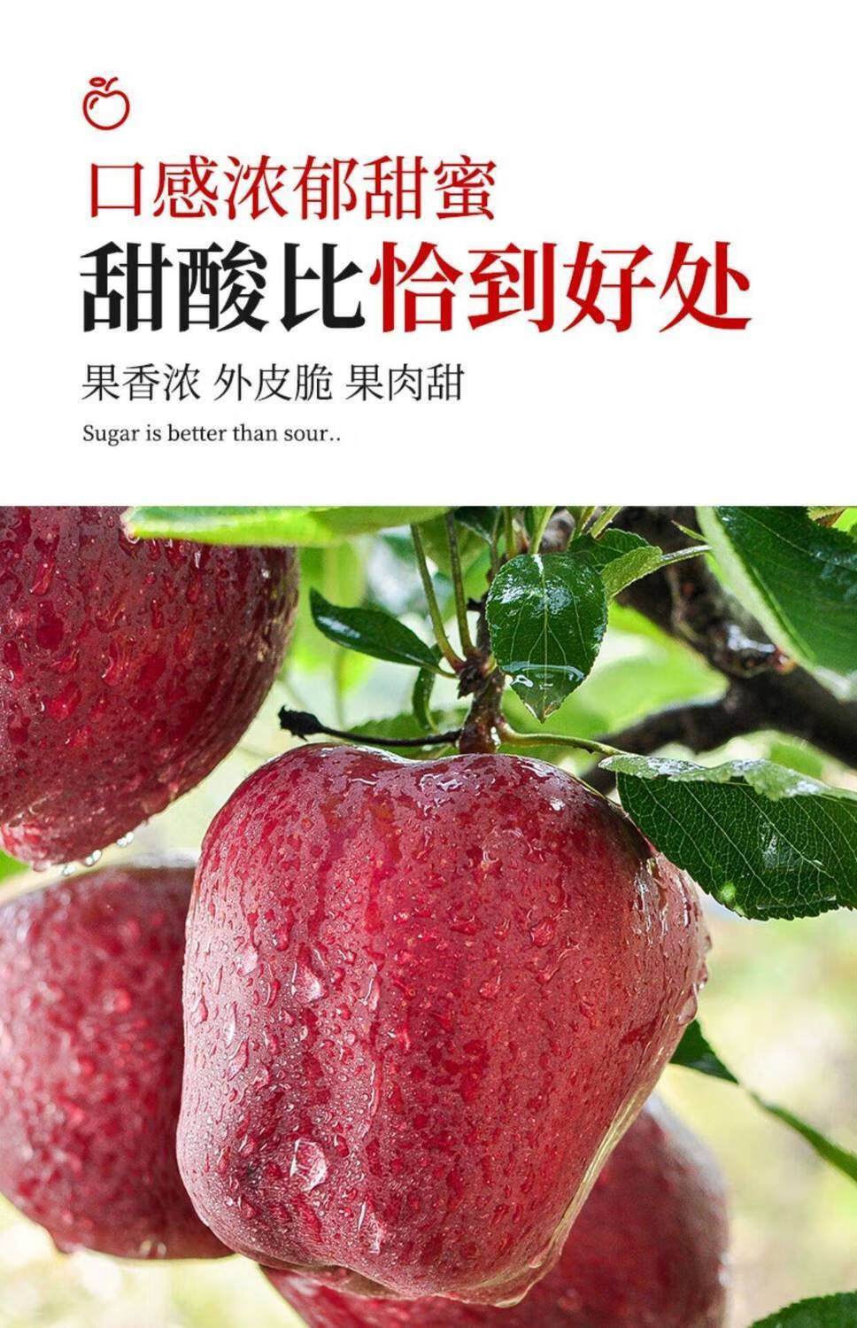 天水花牛苹果老人刮泥蛇果粉面水果红蛇果3斤含箱5斤装出口标准蛇果