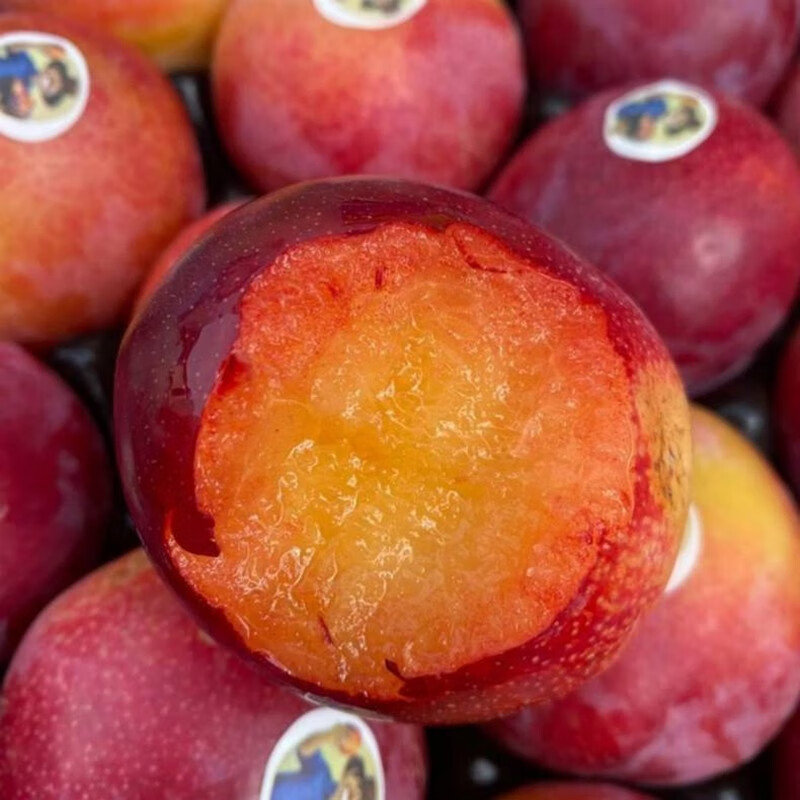 珠宝李新鲜时令水果孕妇黄肉布林恐龙蛋水果3斤尝鲜装