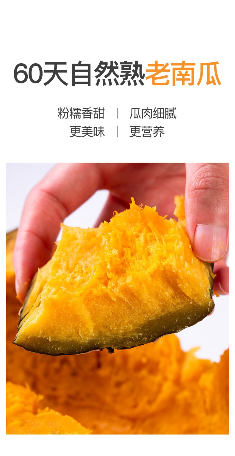 新疆沙漠银栗南瓜贵族金丝栗新鲜初丑南瓜倭瓜银板栗贝贝南瓜 5斤
