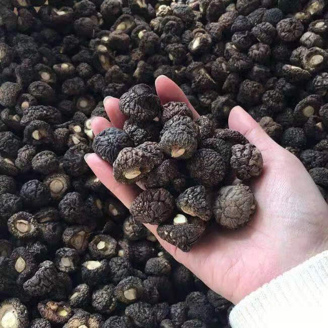 香菇黑面小香菇黑面干香菇小个黑油面香菇 黑油面中型香菇250克【图片