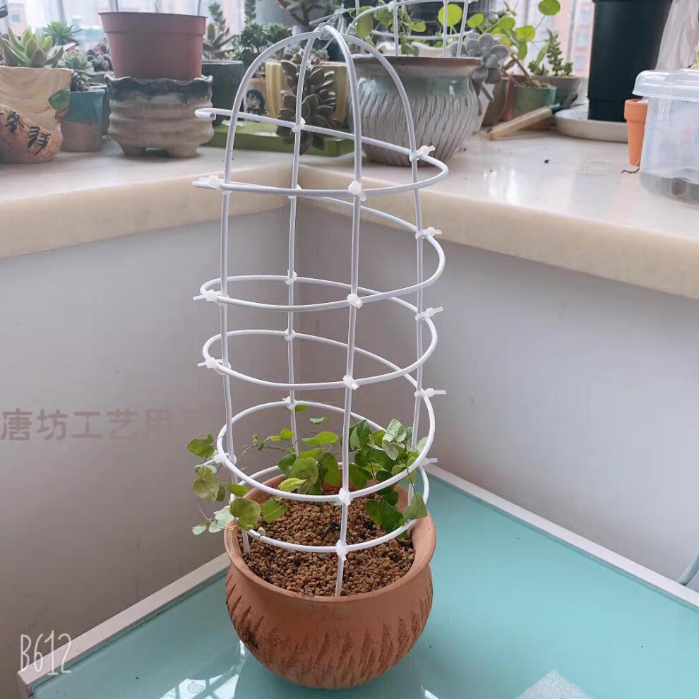 包塑铁丝铁线园艺花架造型手工diy植物盆栽爬藤支架包胶软绑扎丝 绿色