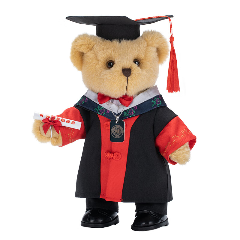 适用于毕业季公仔毛绒玩具小熊玩偶形象熊毕业熊学士服小熊博士硕士熊