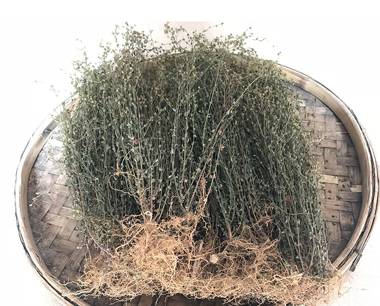 田基黄地耳草黄花草雀舌草新鲜晒干品整株田基王500g