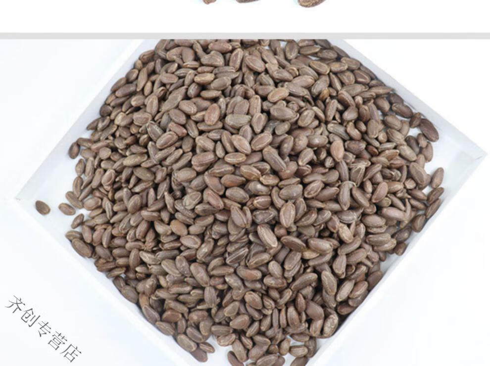 嗑嗑龙 生吊瓜子长兴中大颗粒新货原味咸味炒货吊瓜籽散装 生吊瓜子5