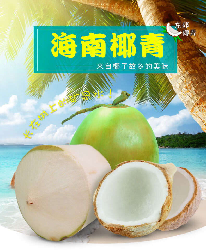 【现摘 精选大果】海南文昌椰青 新鲜椰子孕妇 当季现摘水果 普通快递