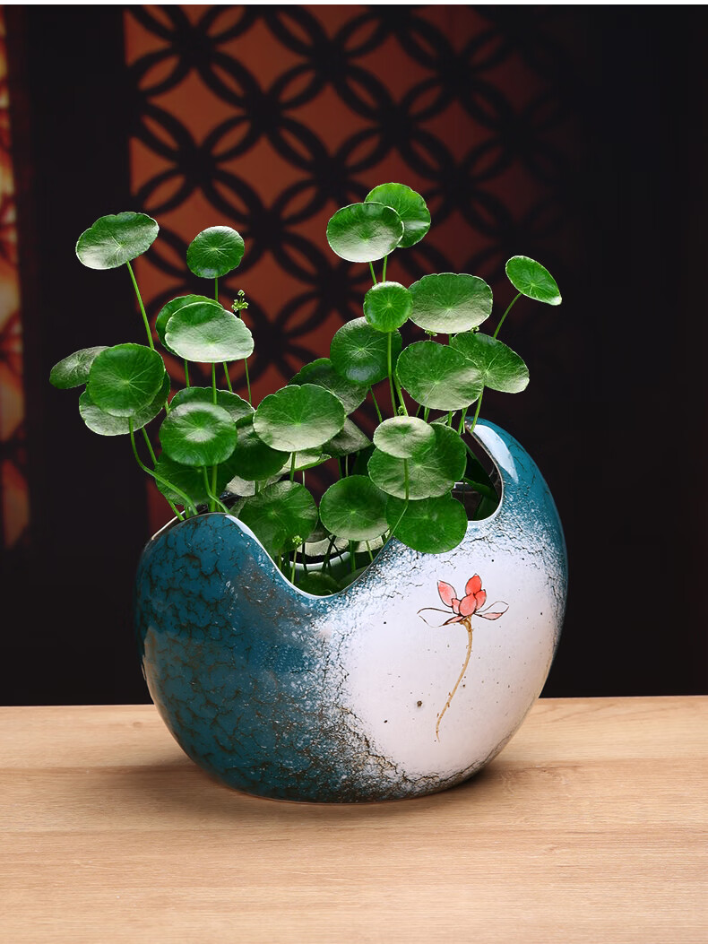 裕轩堂铜钱草水培花盆陶瓷容器创意简约碗莲盆专用绿萝