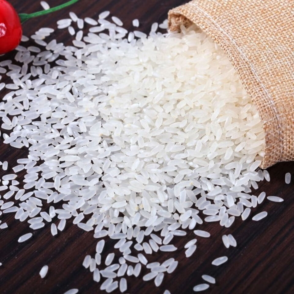 崇明生态米新大米包软糯香梗米2050斤两种包装随机发货50斤纯9108崇明