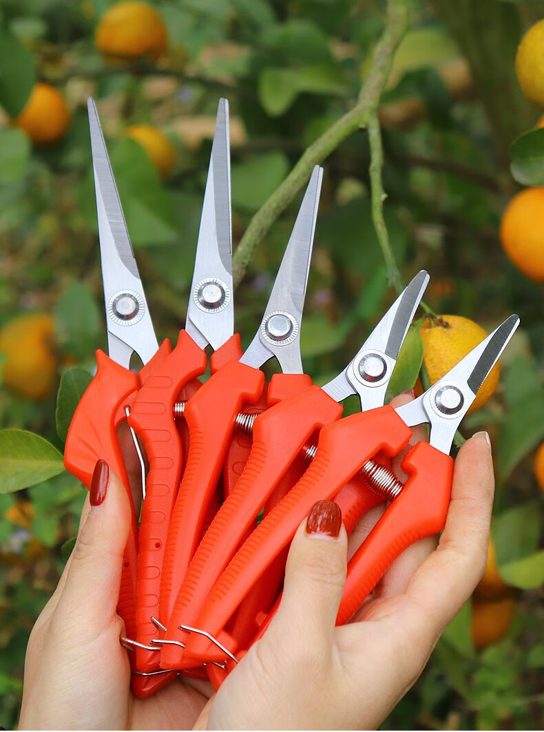 摘花椒神器摘果剪采摘花椒剪子修摘果神器修剪葡萄水果专用蔬果剪刀