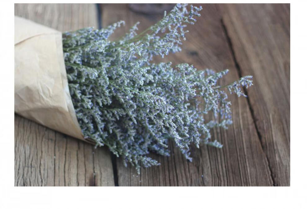 苏茂 天然情人草干花花束真花情人节干草家居摆设拍摄道具 diy花艺