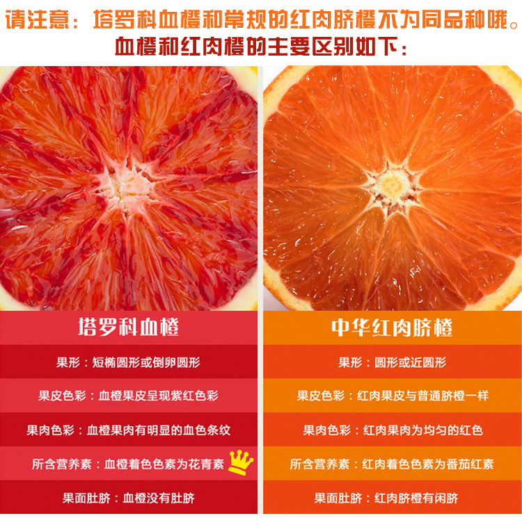 青樱红荔湖南麻阳塔罗科血橙新鲜水果10斤红肉橙子当季雪橙玫瑰香血橙