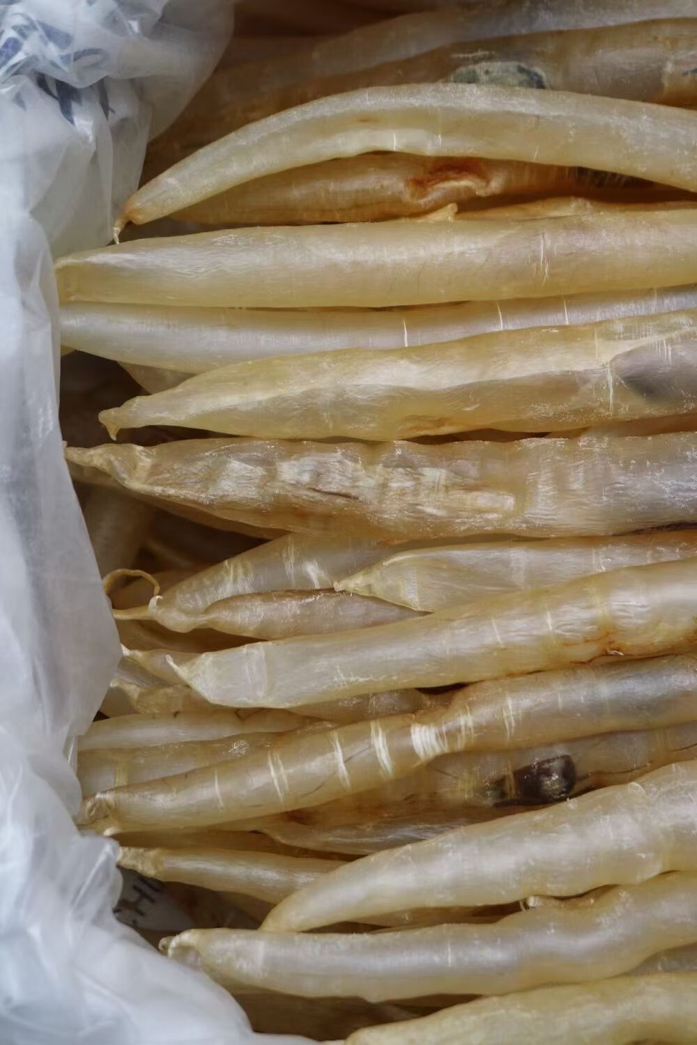 官方旗舰野生鱼胶干货鳗鱼胶麻鱼胶深海鳝鱼肚厚肉鳗鱼肚月子滋补100g