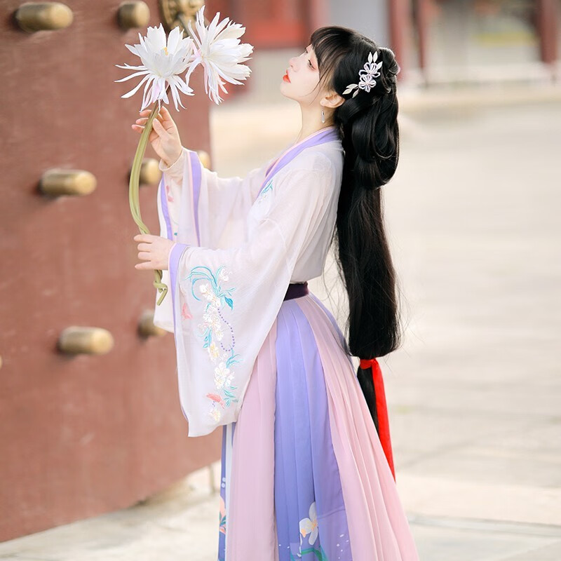 鼎毳貂 汉服古装女汉唐风韵原创汉服女唐制圆领衫褶裙唐褙子齐腰春秋