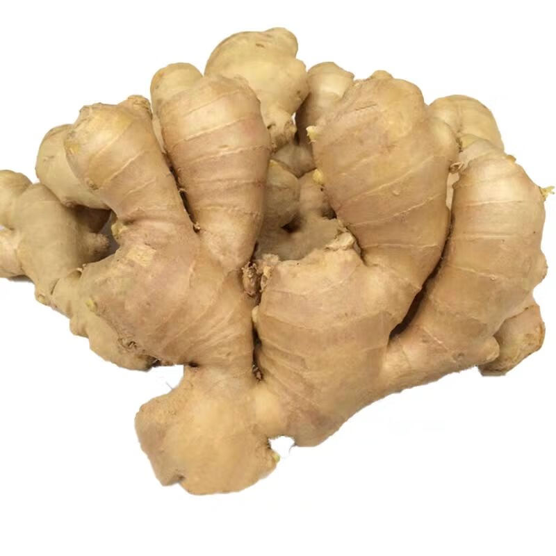 山东特产大黄姜生姜现挖现发大块姜老黄姜月子姜新鲜出口级老姜收藏