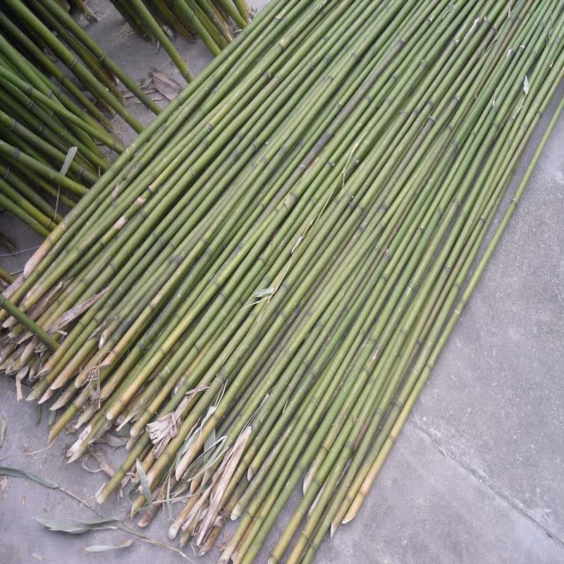 豆角架插杆竹竿新款美丽乡村菜园搭杆架种菜花架黄瓜豆角青攀藤篱笆