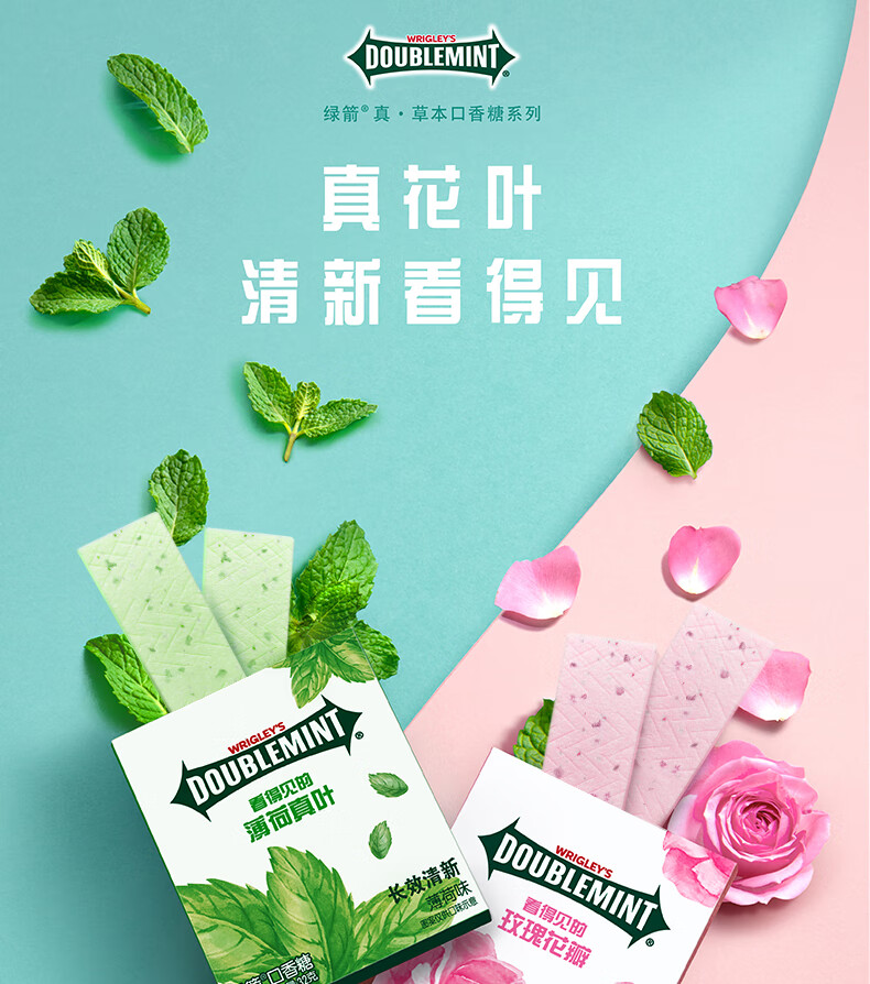 绿箭(doublemint)口香糖 办公室休闲零食方便携带 原味薄荷12片【图片
