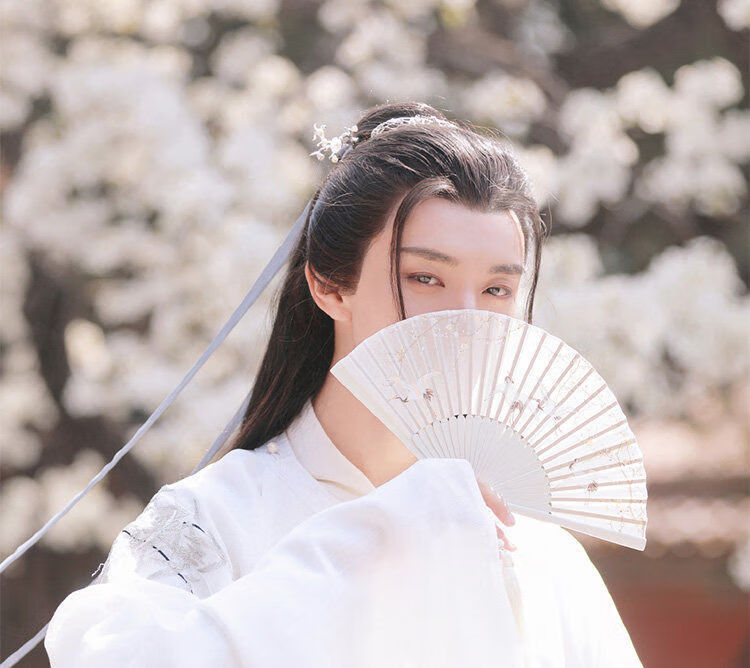 窕妮汉服宋制男汉服男交领明制汉服古风广袖圆领袍无缘飘逸书生男女