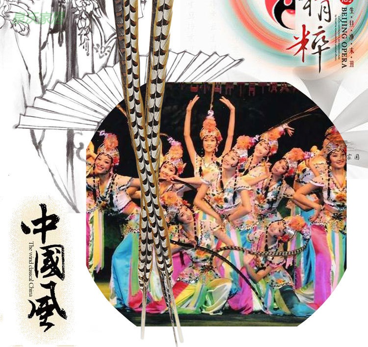 新品 俏花旦京剧戏曲京戏演出天然野鸡毛翎毛雉鸡翎羽长翎子羽毛 100