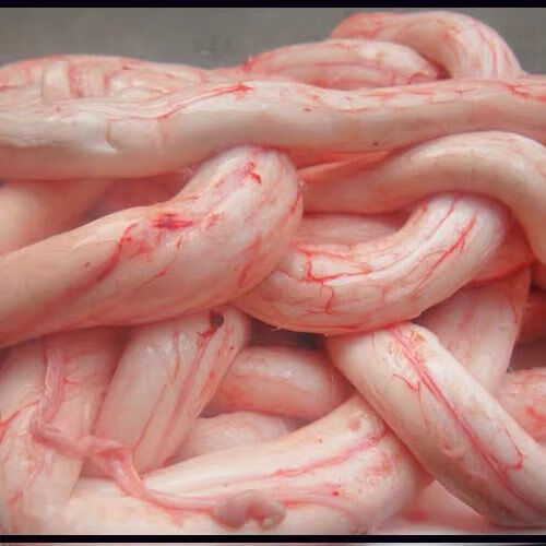 赣香婆新鲜牛骨髓1斤生牛骨髓脊骨骨髓1斤