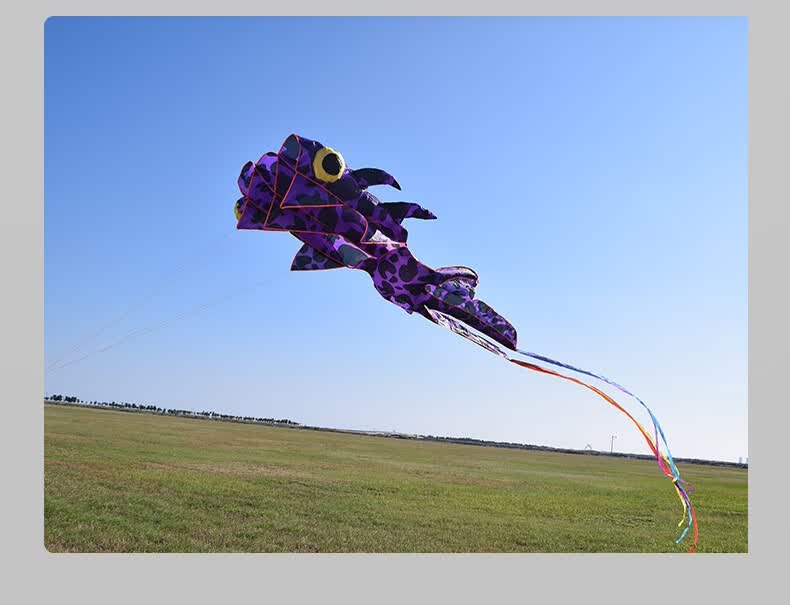 软体风筝 3d立体大风筝大型超大长尾好飞无骨架山东潍坊软体金鱼风筝
