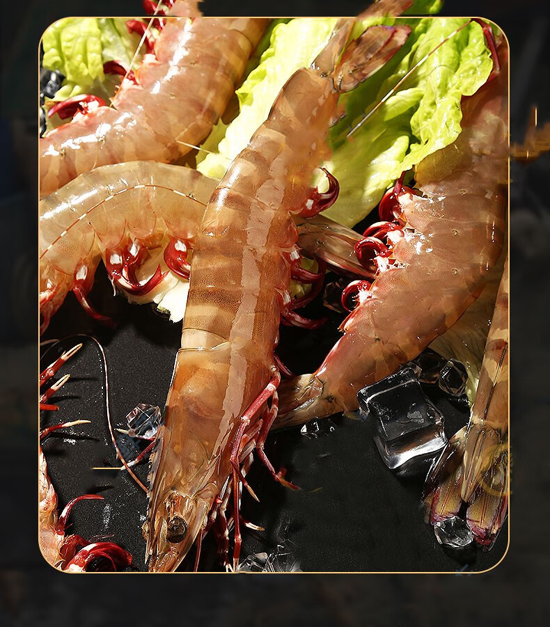 嗑嗑龙竹节虾斑节虾鲜活海鲜特大虾九节虾黑虎虾基围虾速冻海虾花虾