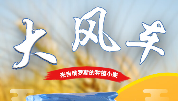 托木斯克风车老磨坊 俄罗斯大风车中筋面粉蛋糕粉馒头粉1袋*2kg原装