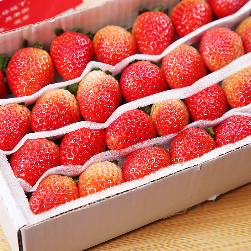 顺丰直达 新鲜四季草莓双流商用酸草莓牛奶油烘焙装饰水果草莓 1200g