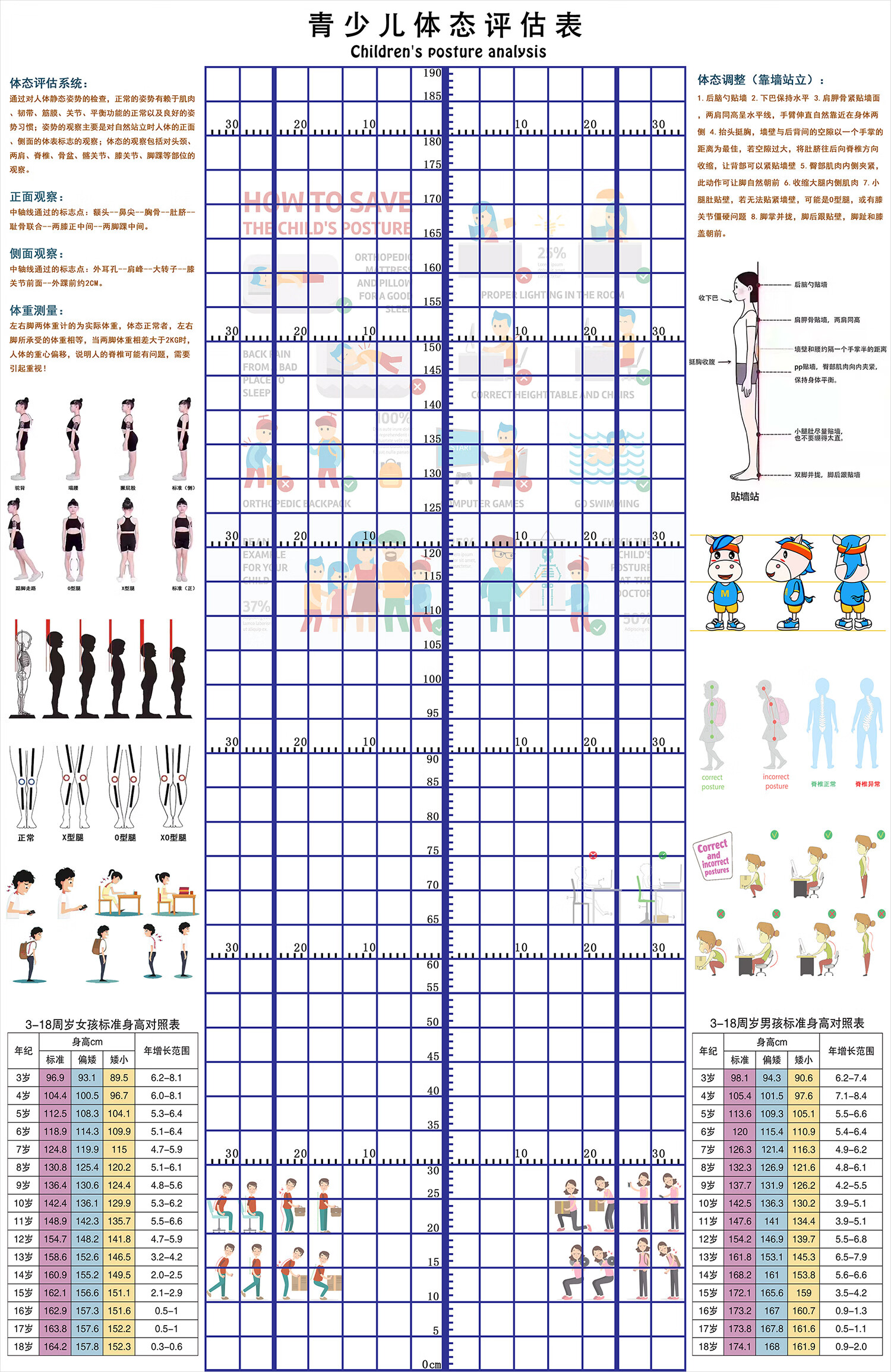 体态评估网格图儿童身高体态评估表站姿体测网格壁画背景墙纸中小幼儿