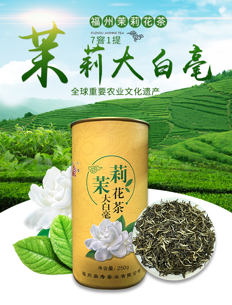 鼎寿 茉莉花茶 福州茉莉花 茉莉大白毫 250g【图片 价格 品牌 报价】