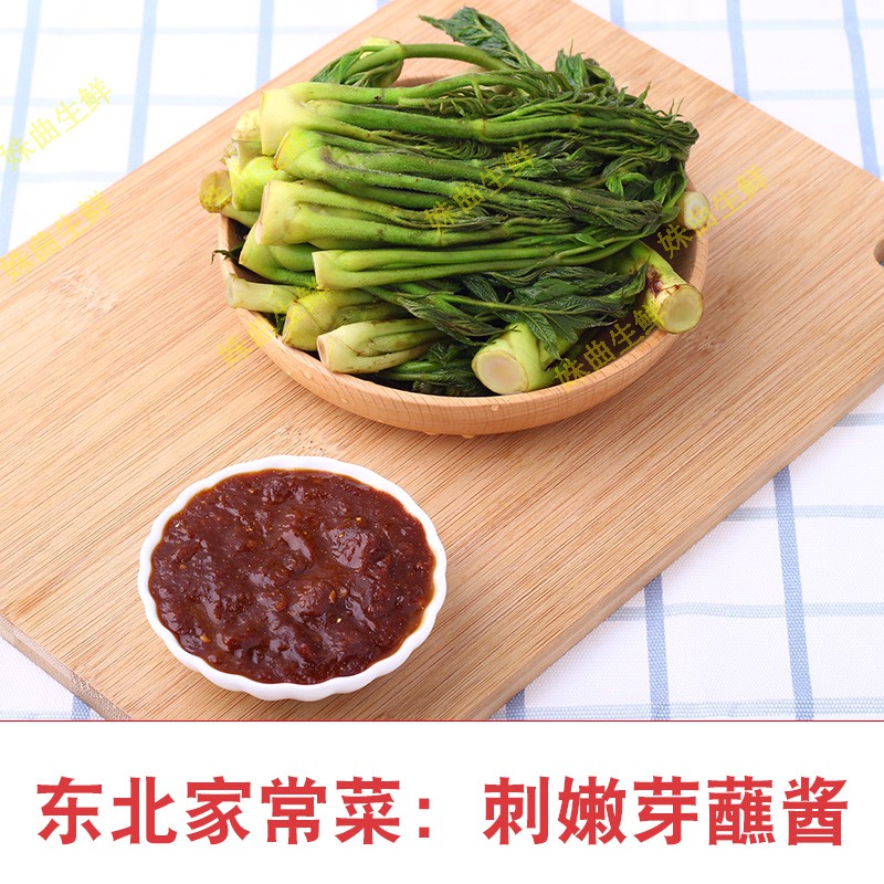 fghgh发顺丰刺嫩芽新鲜东北当季刺老芽蘸酱蔬菜刺龙芽500g