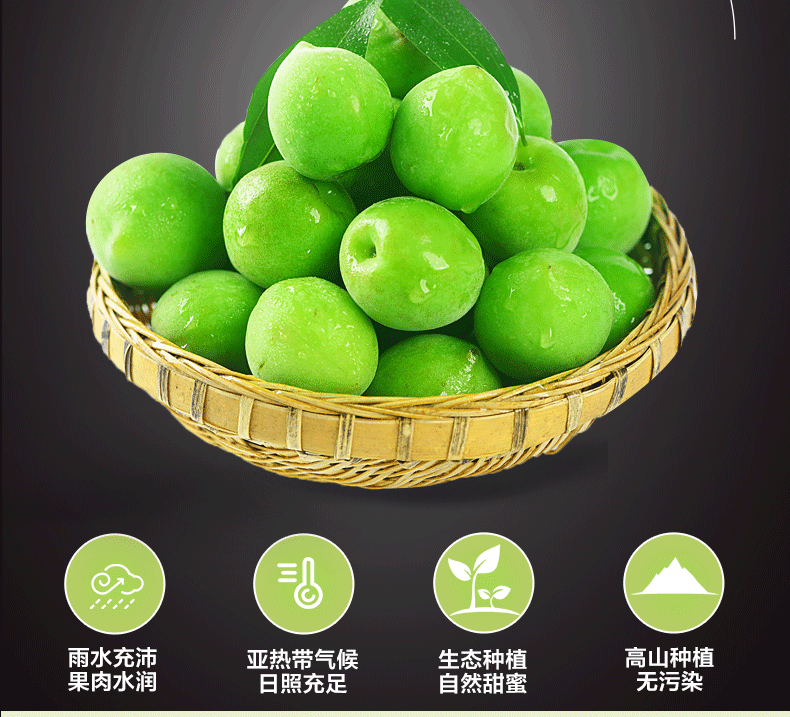 福建诏安青梅鲜果新鲜当季孕妇水果酸梅子泡酒整箱青梅果