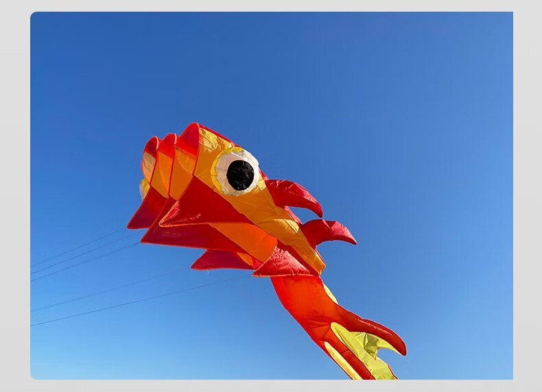 软体风筝 3d立体大风筝大型超大长尾好飞无骨架山东潍坊软体金鱼风筝