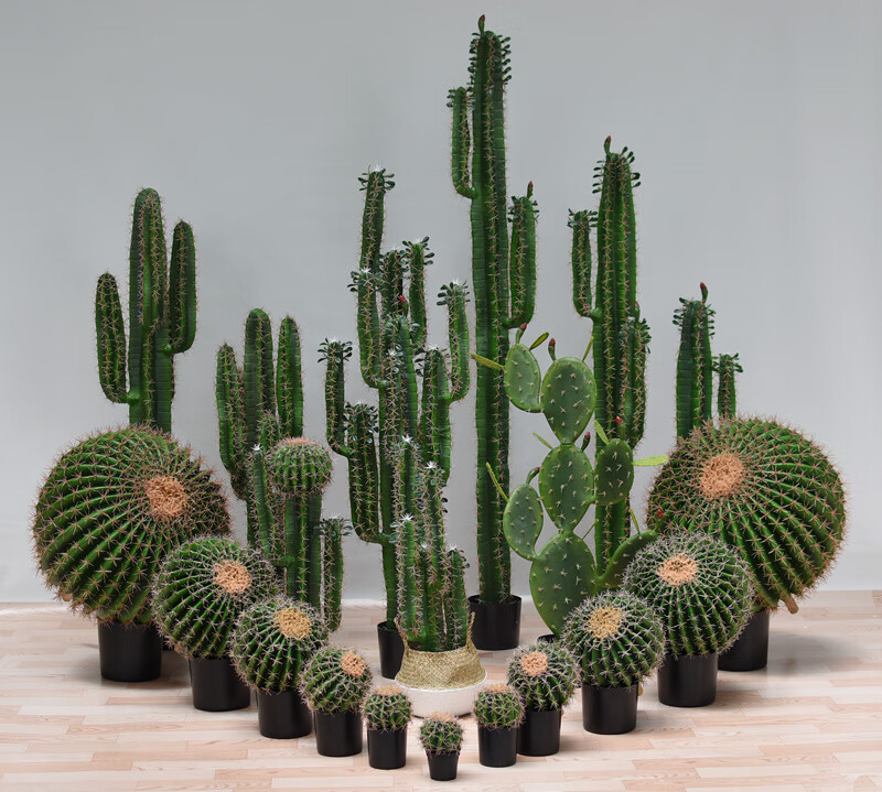 天南兄弟(tnbrothers) 友优大型仿真仙人掌盆栽北欧假仙人柱绿植