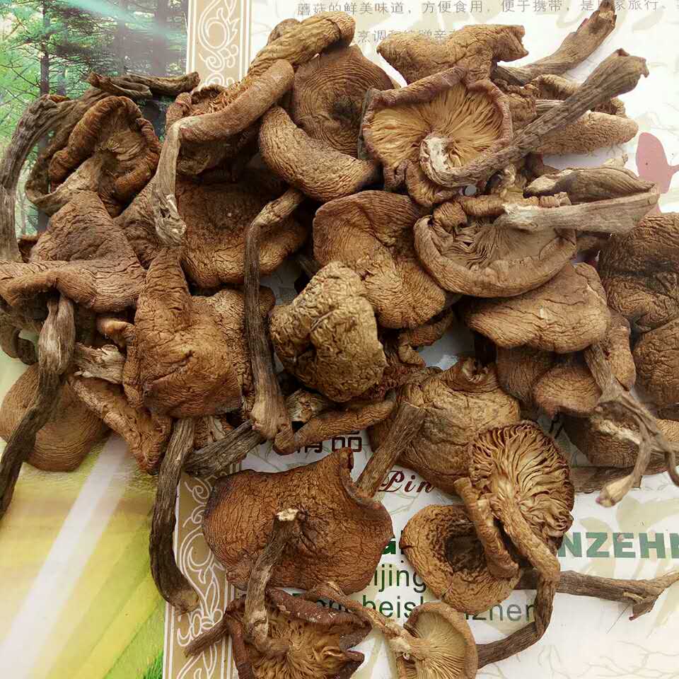 东北特产榛蘑菇小鸡炖蘑菇无根干货榛磨榛蘑丁食用菌500g