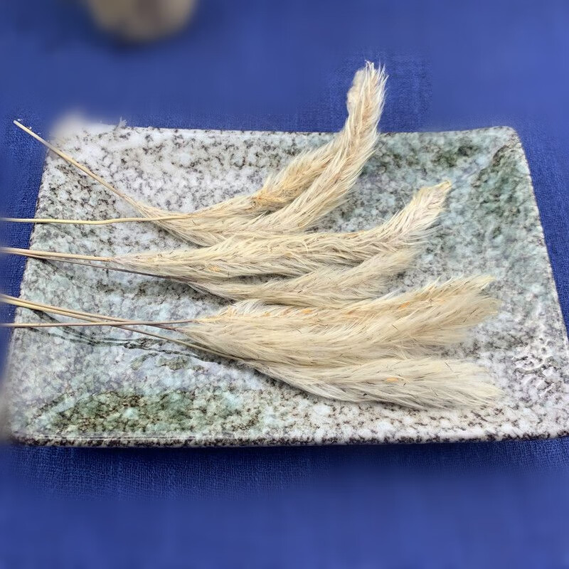 药声录白茅花 白茅根草花 白毛花 茅草花 中药材店铺 50 克【图片