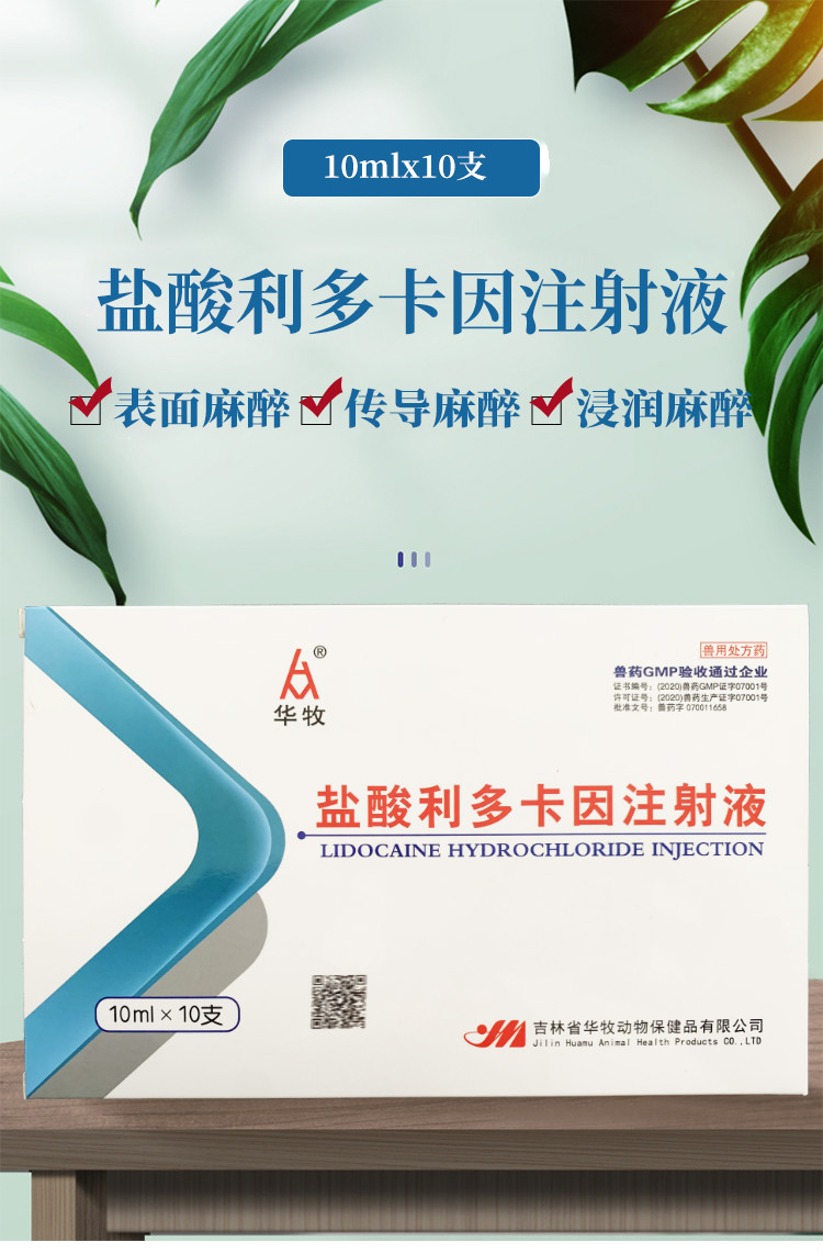 兽用药局部麻醉药盐酸利多卡因注射液表面麻醉传导麻醉浸润麻醉硬膜外