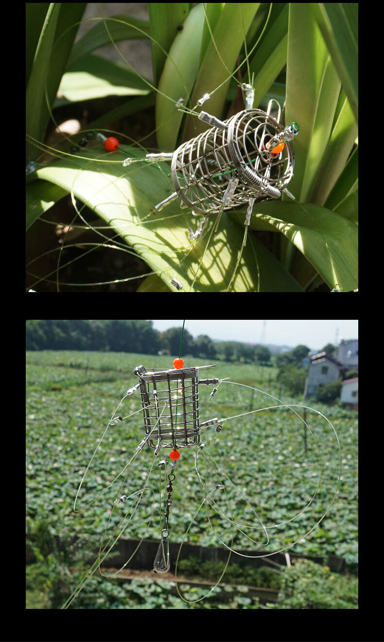 钓青蟹大闸蟹笼钓钩自动捕蟹套河蟹网套装12个圈螃蟹套2个6米线组2个