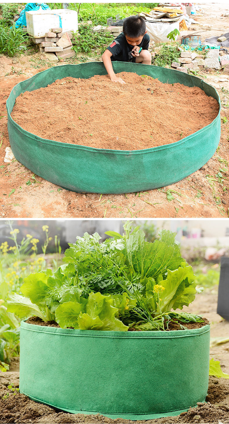 无纺布种植袋加厚特大号楼顶种菜箱阳台蔬果营养钵毛毡育苗袋花盘绿色