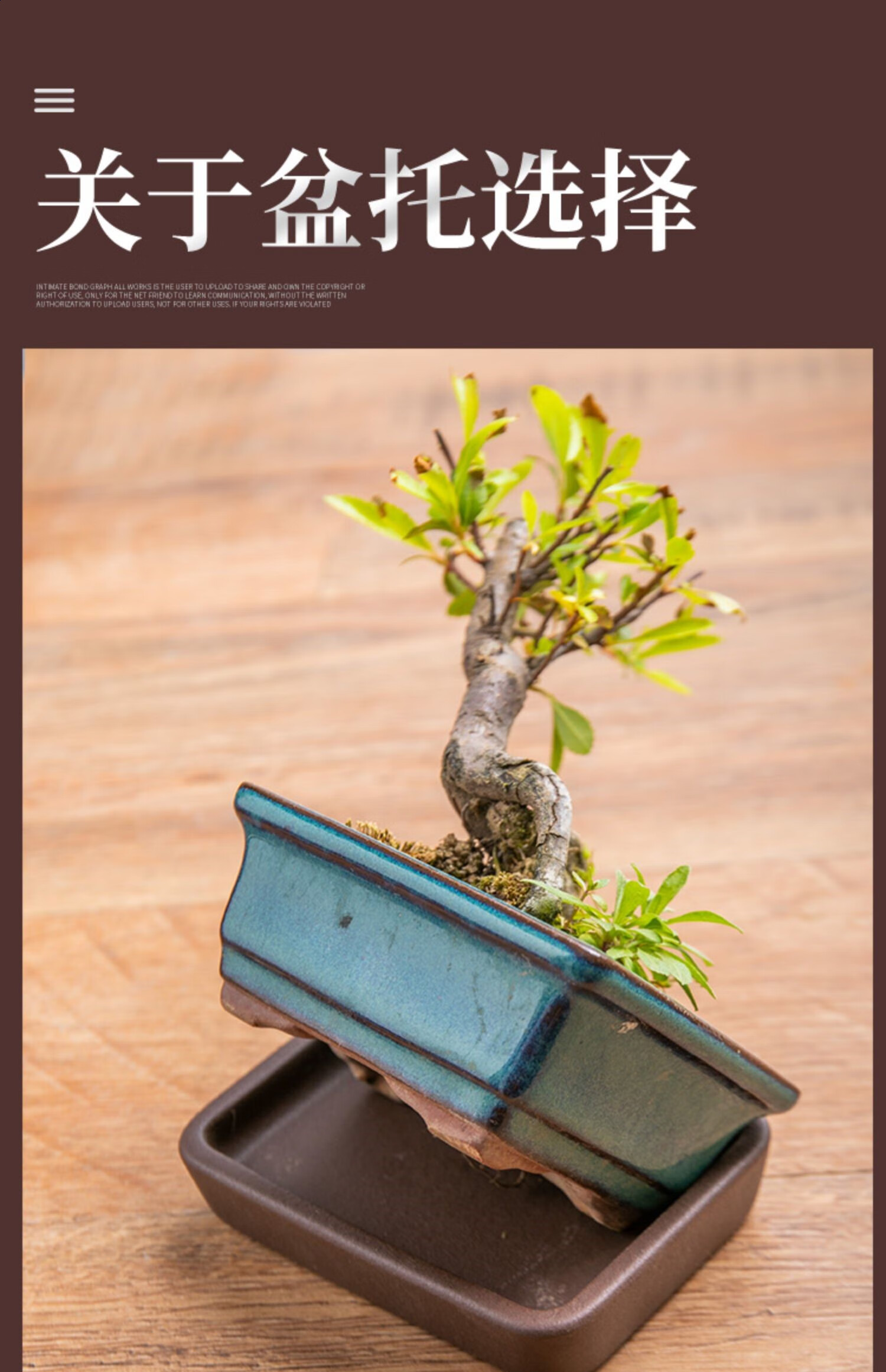 紫砂托盘陶瓷底托花盘底座接水底盘盆景长方形圆盆托垫底 2#圆托盘