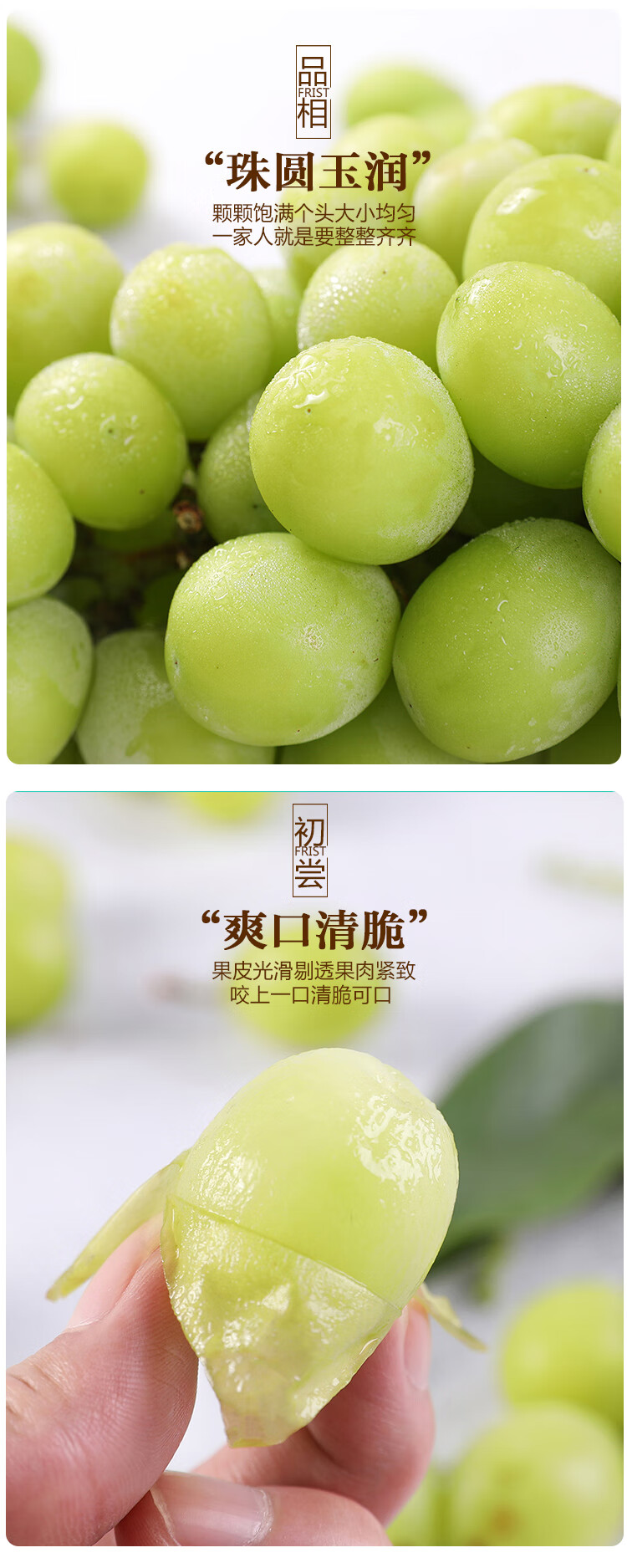【现货空运-多地隔日达】日本品种晴王葡萄 香印青提 山葡萄云南阳光