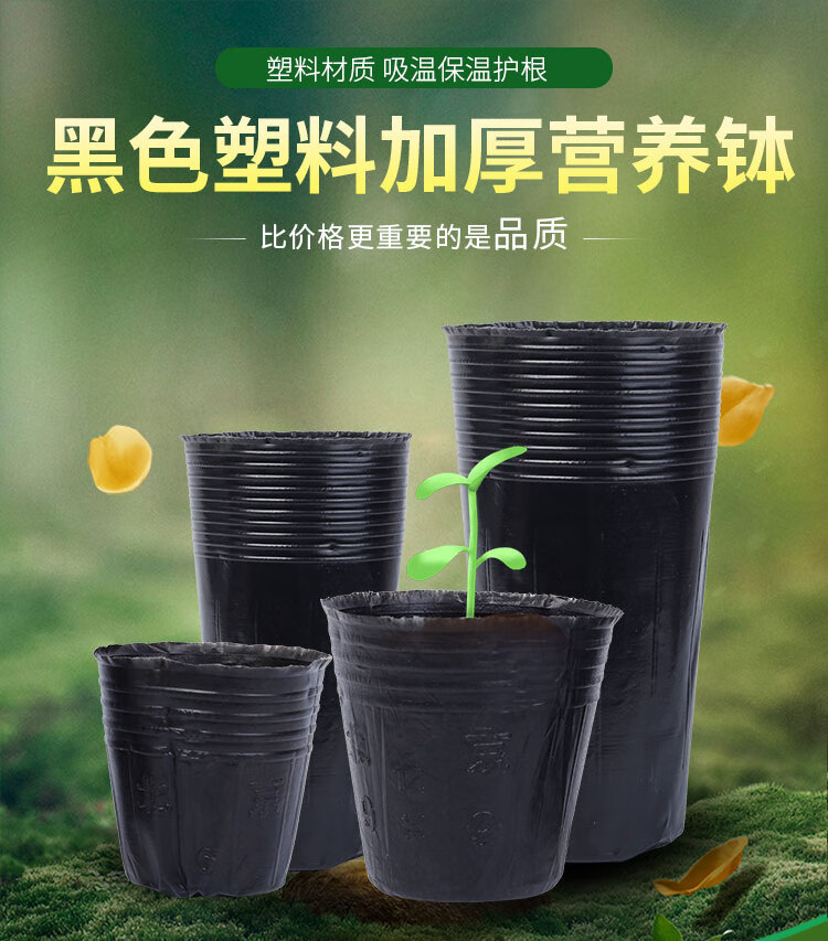 千特育苗杯营养杯塑料加厚一次性花盆育苗盆黑色育苗钵装土神器营养钵