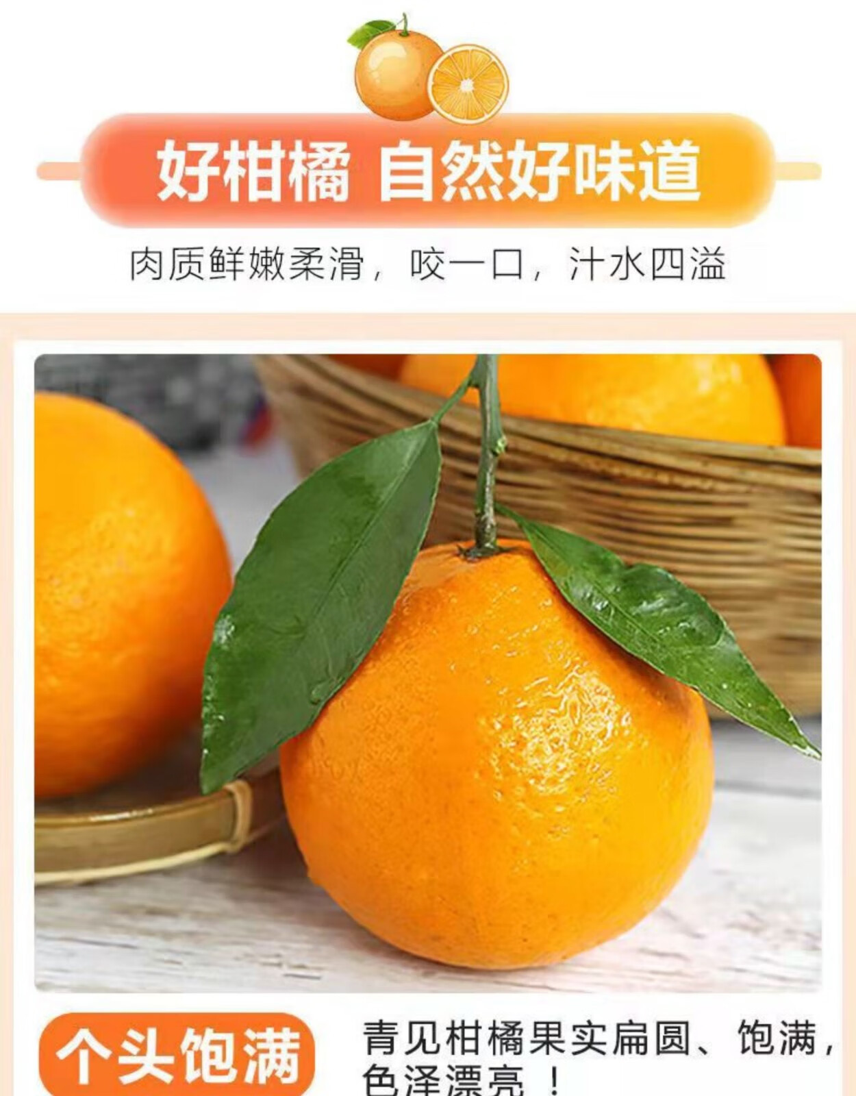 四川青见柑橘现摘新鲜果冻橙应当季蜜橘子孕妇水果5斤装青见果冻橙中