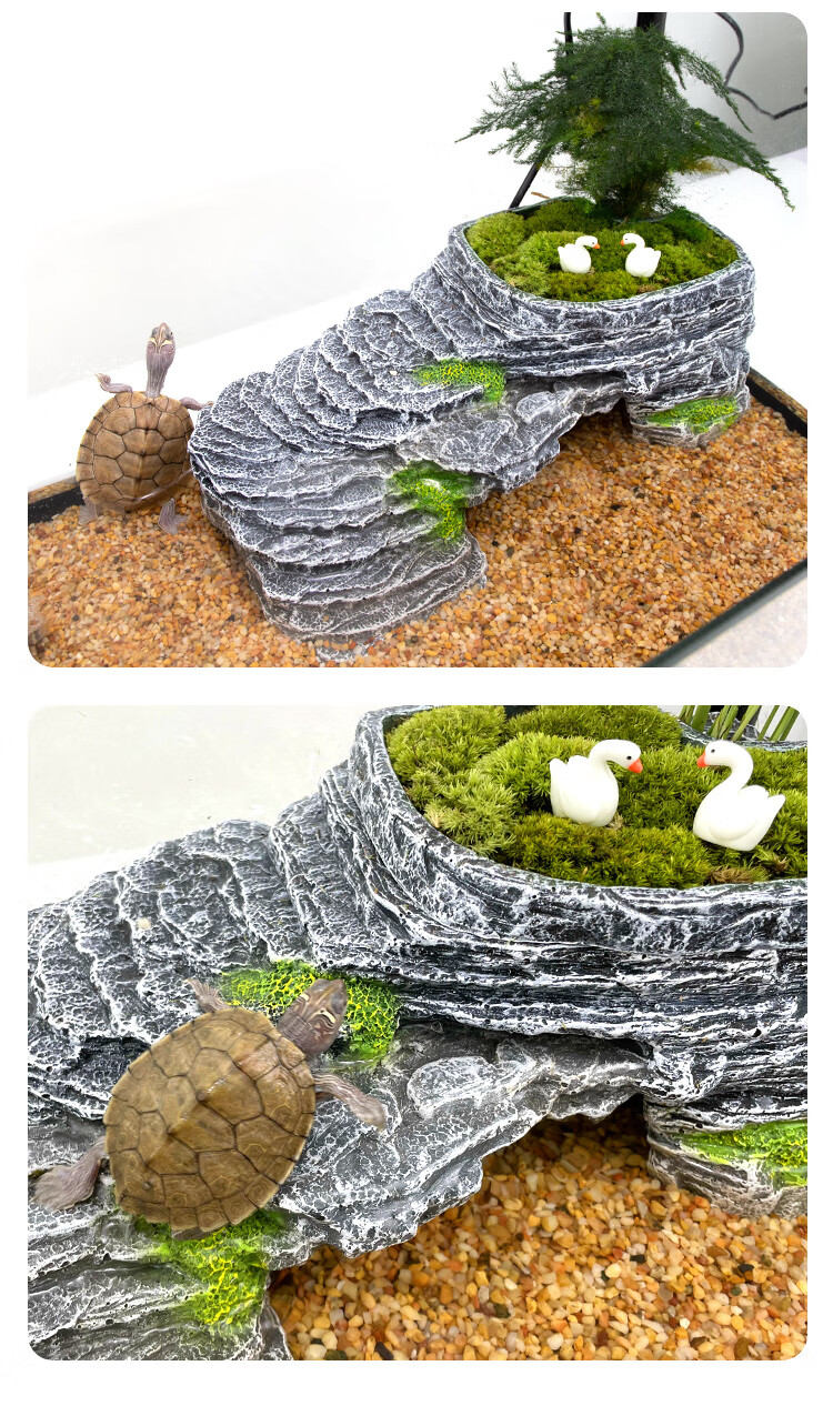 自制养龟爬梯图片