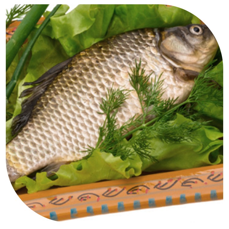 【顺丰空运】太朴有机会天然活水鲤鱼 河鱼 河鲜 淡水鱼 现捕现杀