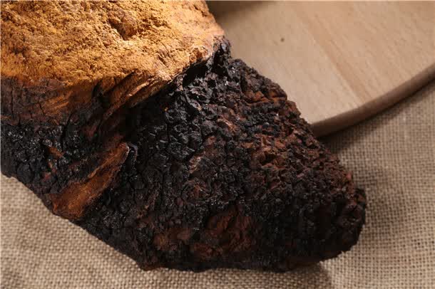 黑金桦树茸野生一斤俄罗斯进口白桦树茸华树茸桦树榕蓉绒荣容【图片