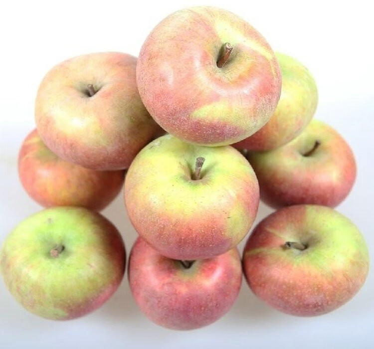 芬岚 国光苹果老树果5斤酸甜干脆东北特产辽宁小果光大苹果 2500g 大