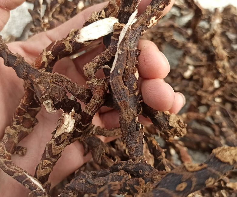 jd优选深山野生石菖蒲纯根老菖蒲根月子洗澡洗头正宗山菖蒲老根水剑草