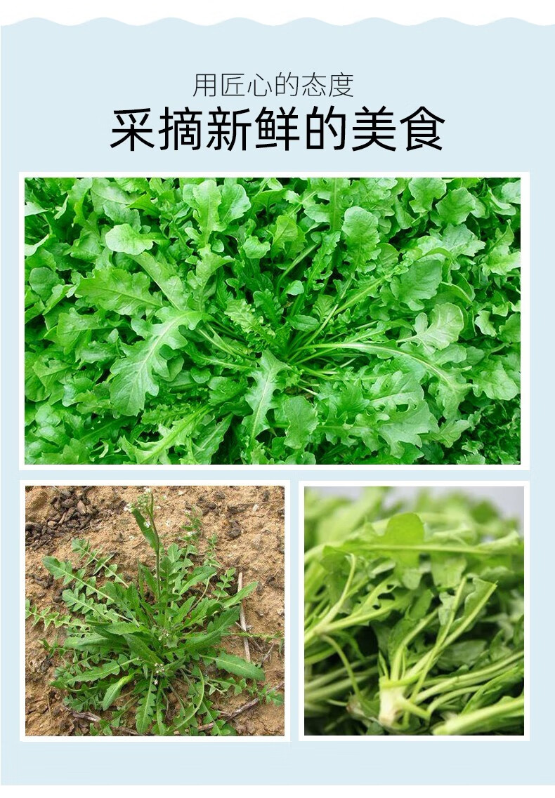 湘贞缘农庄新鲜速冻荠菜地菜天然野菜荠荠菜新鲜蔬菜2kg1111